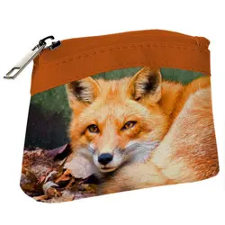 Dětská peněženka KID Liška