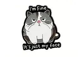 Pin – I’m Fine (Kočka)